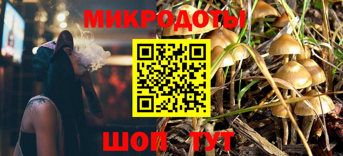 Псилоцибиновые грибы Psilocybine cubensis Белорецк